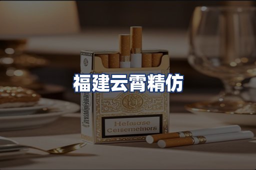 福建云霄精仿